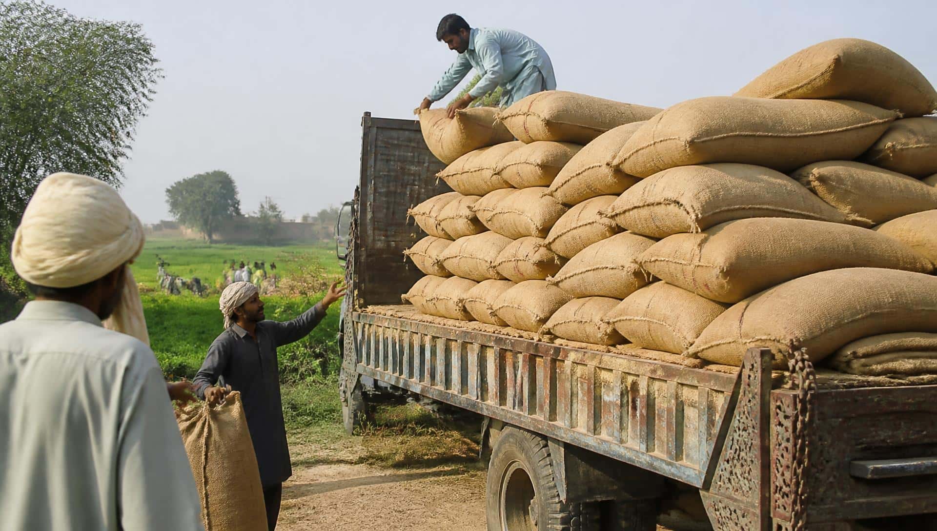 Open agricultural land under cultivation